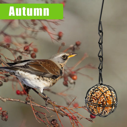 4 Pack Suet Ball Bird Feeder Set Metal Station Kit with Hanging Chain