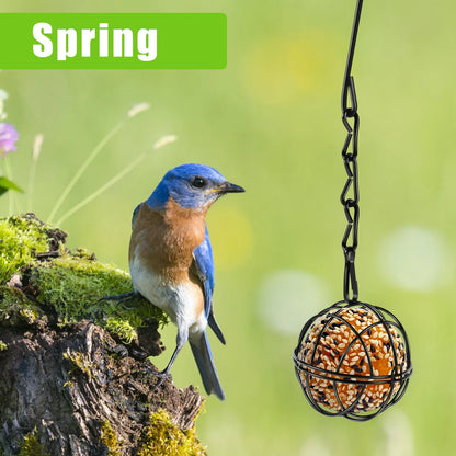 4 Pack Suet Ball Bird Feeder Set Metal Station Kit with Hanging Chain