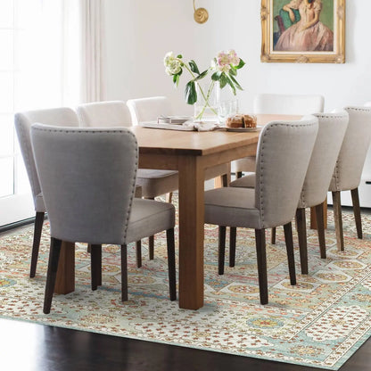 Washable Rug Vintage Area Rugs with Non-Slip Backing