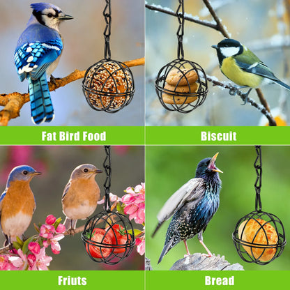 4 Pack Suet Ball Bird Feeder Set Metal Station Kit with Hanging Chain